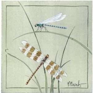 Dragon Fly And Damsel Fly Poster Print