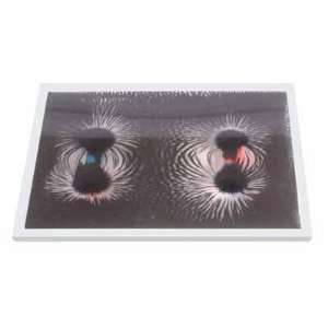 Magnetic Field pattern Kit; Transparent  Industrial 