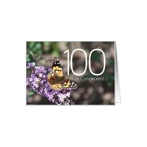  100th Italian Happy Birthday Painted Lady Butterfly card 