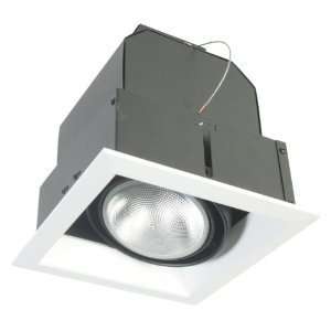  Eurofase Lighting TE161 1 Light Mu Lighti, Par20