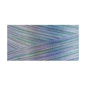  Rainbows Thread 500 Yards Lilac Bouquet Arts, Crafts 