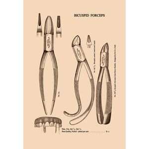  Bicuspid Forceps   12x18 Framed Print in Gold Frame (17x23 