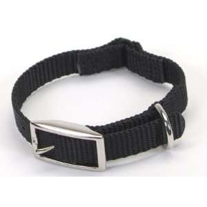  Coastal Pet Products CO00880 301S .38 in. Web Safety 