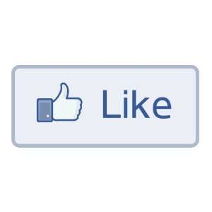  Facebook like button sticker vinyl decal 4.5 x 2 