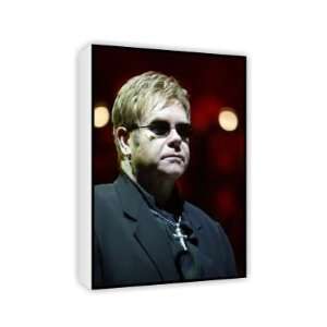  Elton John   Canvas   Medium   30x45cm