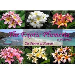   Plumeria, a pictorial, Volume 1 [Hardcover] Alan W. Bunch Books