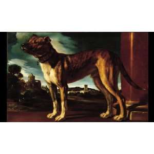   Giovanni Francesco)   24 x 14 inches   Aldrovandi Dog