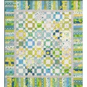    Spring Fling Quilt Pattern By Alex Anderson Arts, Crafts & Sewing