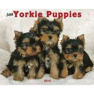  Just Yorkie Puppies 2010 Wall Calendar