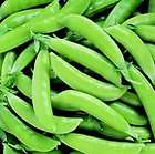100 sugar snap pea seeds new seed for 2012