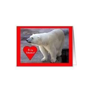  Valentines Day Be My Valentine? Beautiful White Polar 