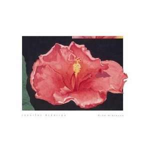  Pink Hibiscus Poster Print