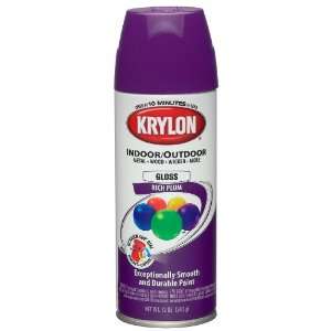 Krylon 51914 12 oz. Indoor & Outdoor Spray Paint, Rich Plum Gloss (6 