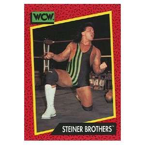   Wrestling Trading Card #113  Steiner Brothers