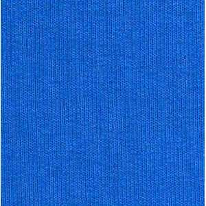  6465 Wide FRENCH TERRY DIRECT BLUE Fabric By The Yard 
