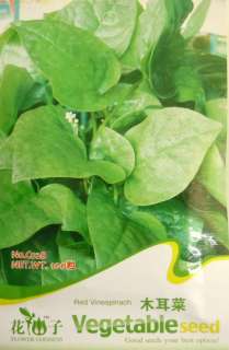 C028 Vinespinach Malabar Spinach Vegetable Seed Pack  