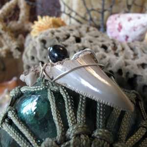  Fossilized Great White Shark Tooth Pendant Everything 