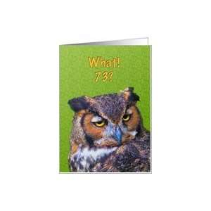  73rd Birthday Card with Great Horned Owl Card Toys 