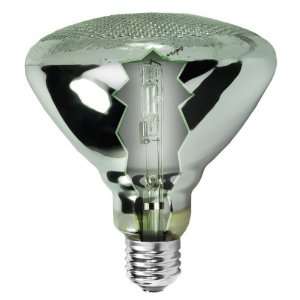  Halco 75001   55 Watt Halogen Light Bulb   BR38   /Xenon 