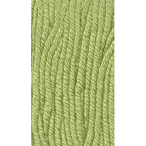  Classic Elite Posh Kiwi 95136 Yarn