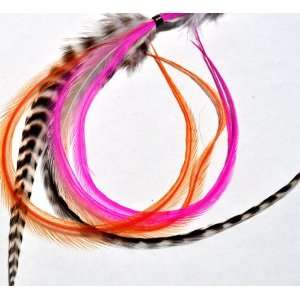   Feather Hair Extensions   Diva Pink Feather Hair Extensions Beauty
