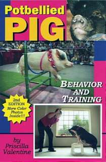   Pot Bellies and Other Miniature Pigs A Complete Pet 