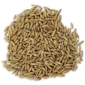  Nasco   Oat Seeds for Germination Industrial & Scientific