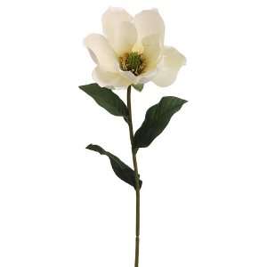 Club Pack of 24 Artificial Cream Magnolia Silk Flower 