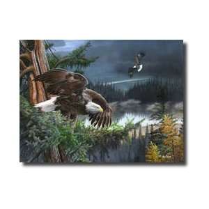  Wings Of Freedom Giclee Print