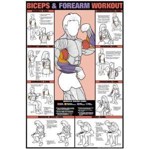 Co-ed Triceps Workout 24 X 36 Laminated Chart