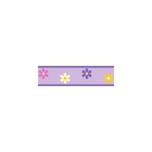   Daisies Baby, Childrens and Teens Wall Border by JoJo Designs Baby