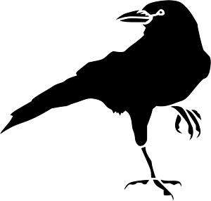 Crow Raven Decal 3.75x3.95 choose color  