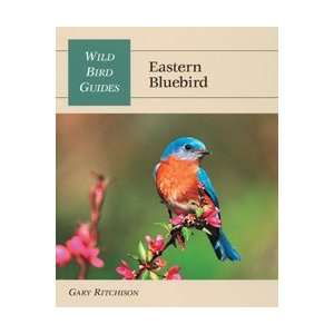 Wild Bird Guide Eastern Bluebird Book 