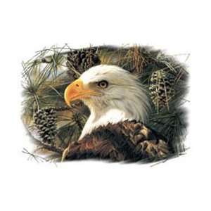  T shirts Wildlife Eagle Prince of the Pines XXL 