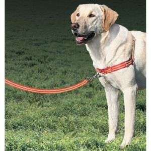 PREMIER Reflective Easy Walk Dog Harness With Lead M/L  