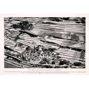   Aerial Cityscape Cultivated Landscape Crops   Original Halftone Print