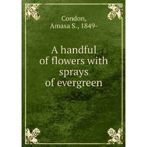   handful of flowers with sprays of evergreen, Amasa S. Condon Books