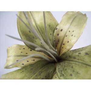  Green Tiger Lily Hair Flower Clip Beauty