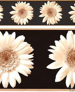 Wallpaper Borders Daisy Flowers on Black # KW7555B 034878660820 