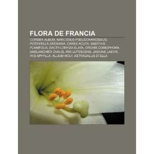 Flora de Francia Corema album, Narcissus pseudonarcissus, Potentilla 