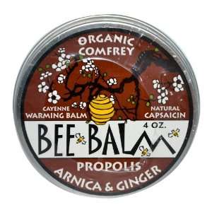Black Hills Honey Farm, Bee Balm, Arthritis Rub, Arnica and Ginger, 4 