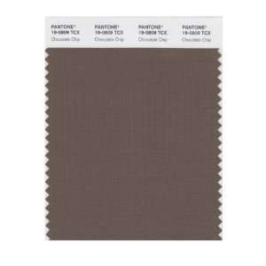  PANTONE SMART 19 0809X Color Swatch Card, Chocolate Chip 