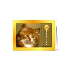  Birthday ~ Year Specific 28th ~ Fluffy Kitten Card Toys 
