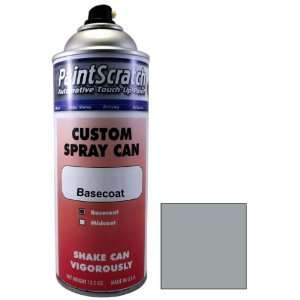  12.5 Oz. Spray Can of Titan Silver Metallic Touch Up Paint for 2010 