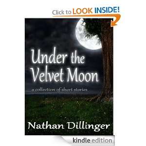   of short stories Nathan Dillinger  Kindle Store