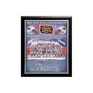  NFL Patriots 03/04 Super Bowl #38 Plaque Sports 