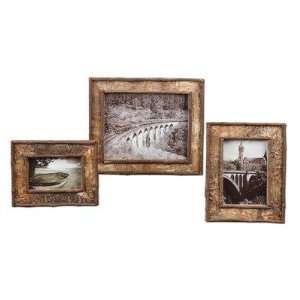  Set of 3 Birch Bark Picture Frames