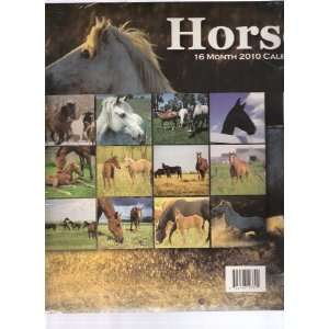  2010 16 Month Calendar Horses