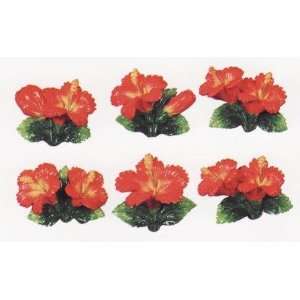  HIBISCUS 3 Dimensional Magnet Set of 6 Magnets *NEW 