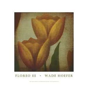   Floreo III   Artist Wade Hoefer  Poster Size 17 X 18